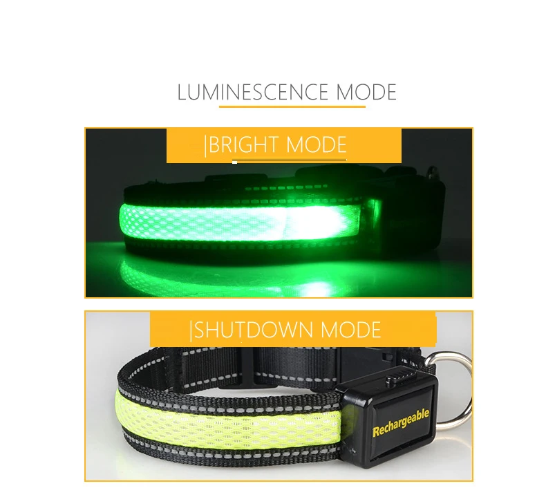 4658904994_662496922