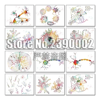

Medical and Science 5d Diy Diamond Painting Cross Stitch Diamond Embroidery Mosaic Watercolour Paintings Full Rhinestone Gifts