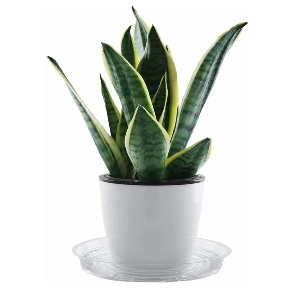 10pcs Plant Saucer Drip Tray Round Pot Base Container PET Home Office Garden 10pcs Plant Saucer Drip Tray Round Pot Base Container PET Home Office Garden
