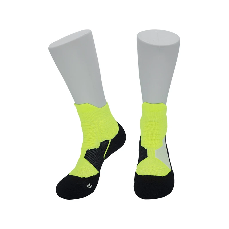 5883556515_1409184180