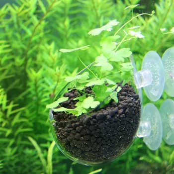 

Aquarium Tank Plants Landscape Cultivation Decor Glass Cup Basin Mini Aquatic Planting Pot KM88
