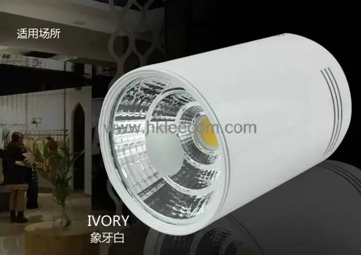 Levou para o Round Rebaixado para Baixo a Luz da Lâmpada para Casa 2020 de Superfície para Baixo Cree Lote 20w Cob Downlight Teto Luz 4 Pçs - 6 Levou Para O Round 4 pçs lote