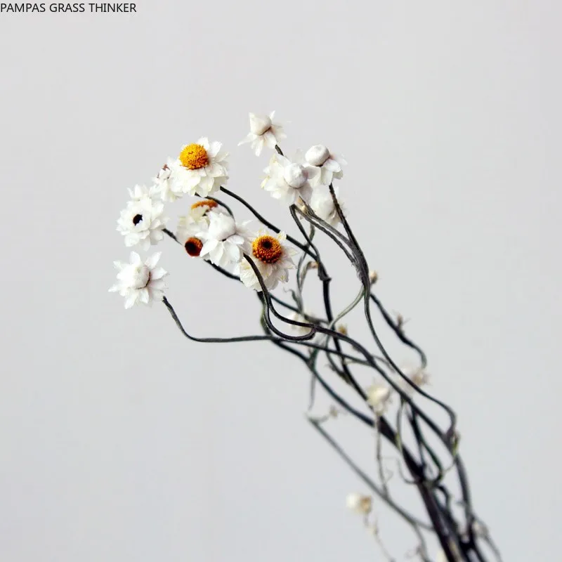 

60G Dried Honeysuckle Chrysanthemum Flowers Bunch Home Decor Show flowers in the window White Dried Flower