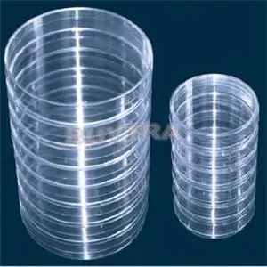 Affordable 10Pcs Sterile Petri Dishes w/Lids for Lab Plate Bacterial Yeast 55mm x 15mm |