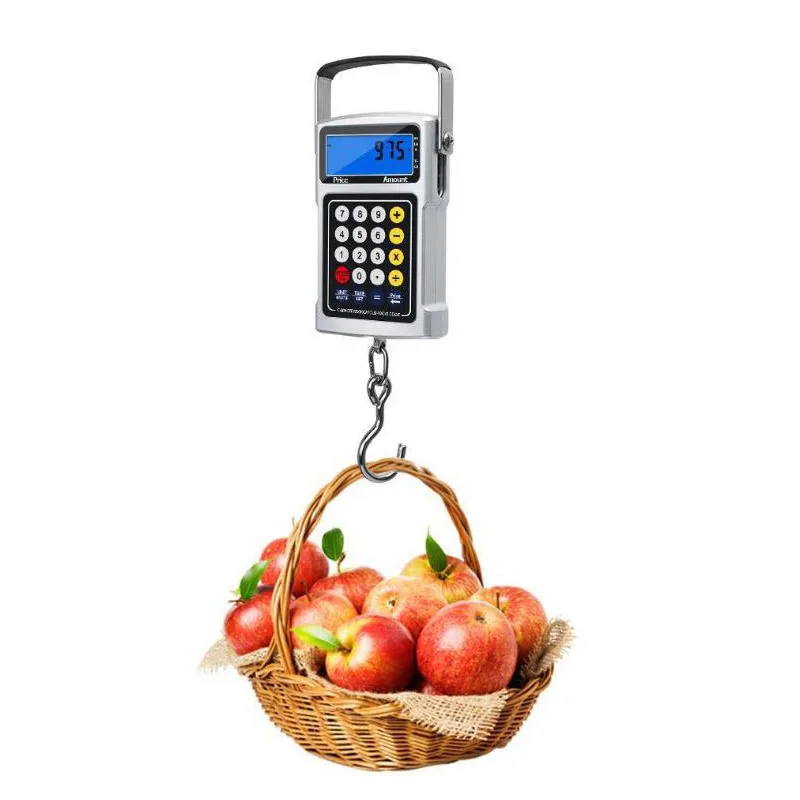 

4 in 1 Electronic Pricing Portable Scale 50kg Hanging Electronic Luggage Scale With Tape Measure Luggage Express Hanging Scale