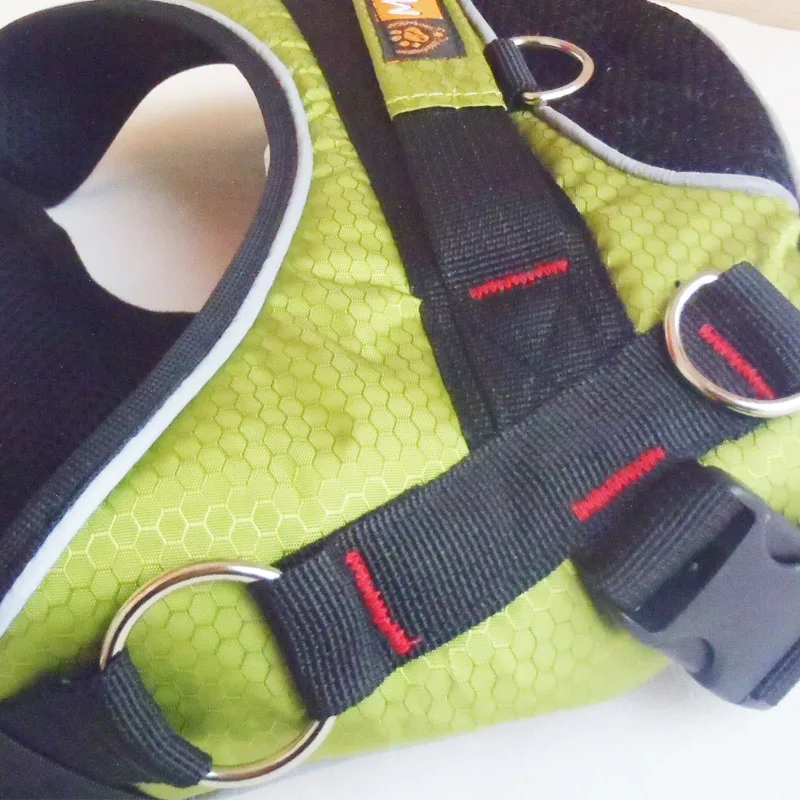 T2QdFJXB8XXXXXXXXX-323398970