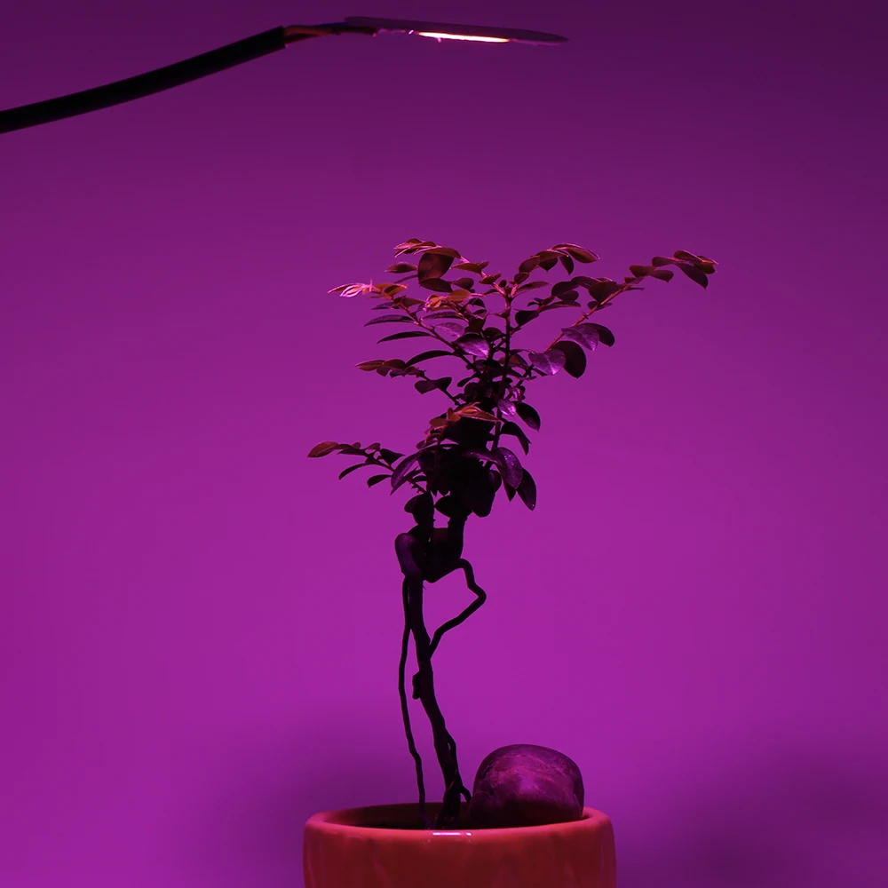 10 шт./лот COB Chip LED Grow Light полный спектр AC 220 В 110 50 Вт 30 20 фитолампа без необходимости