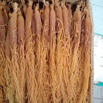 

Hot 10 years organic sugar-free ginseng red ginseng Korean ginseng enhance immunity, anti-cancer and extend life support