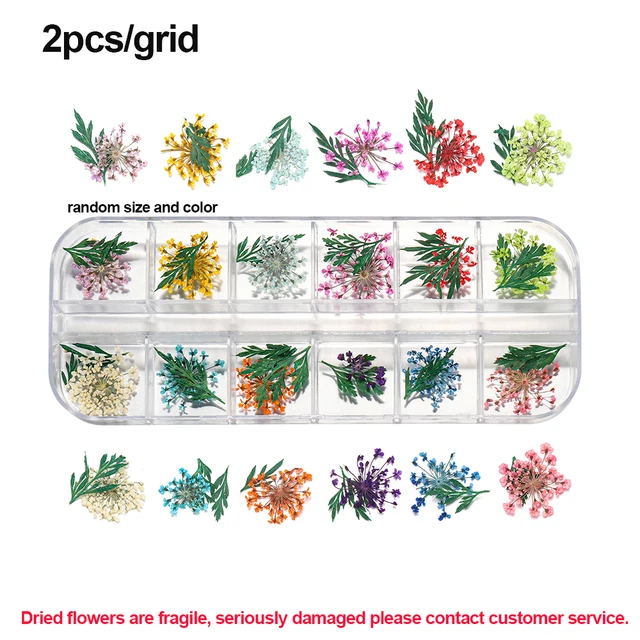 1Box Dried Flowers Dry Plants for Rsein Molds Fillings Epoxy Resin Pendant Tweezers Jewelry Making Craft DIY Nail Art Decoration Style14