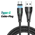 Black type c