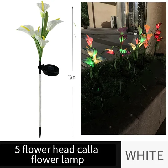 J Calla lily