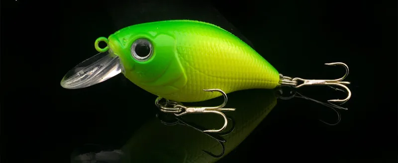 4056119248_1527700101