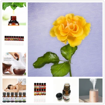 

HANCHAN Essential Massage Aroma Oils Calceolaria Essential Oils for Aromatherapy Diffusers Massage Fragrances Ball Moss Oil
