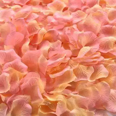 champagne pink
