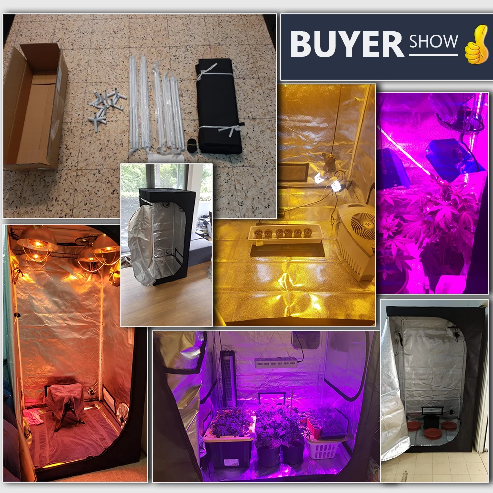 buyer show