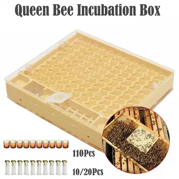 

Beekeeping Tools Set Rearing System Cultivating Box 110pcs Plastic Cups Bee Nicot Complete Catcher Cage Beekeeping Tools