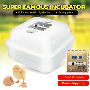 

36 Position Automatic Digital Familys Incubator Chicken Poultry Hatcher Foam Waterbed Incubator Farm Incubation Tools 220V 40W