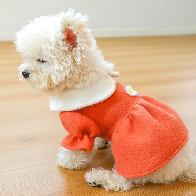 Female Dog Dress