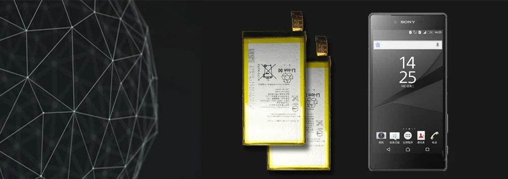 CSlogo SONY LIS1561ERPC (2)