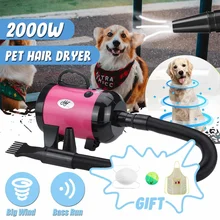 1200 Вт 220 В фен-вентилятор с переменной скоростью, портативный фен для собак, кошек, домашних животных, низкий уровень шума, фен для ухода, фен, дешевый фен для домашних животных