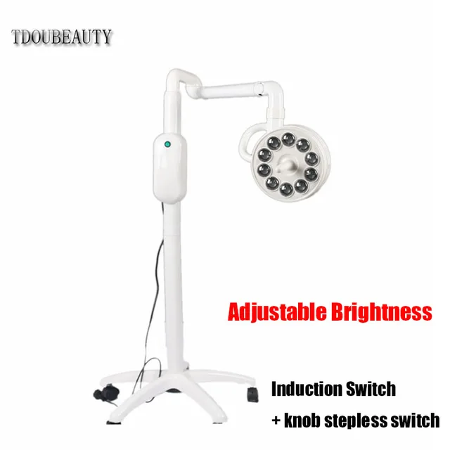 TDOUBEAUTY Examination Shadowless Cold Light 30W Dental Light Lamp Led Operation Surgical Light for Dental Chair Pet Surgery