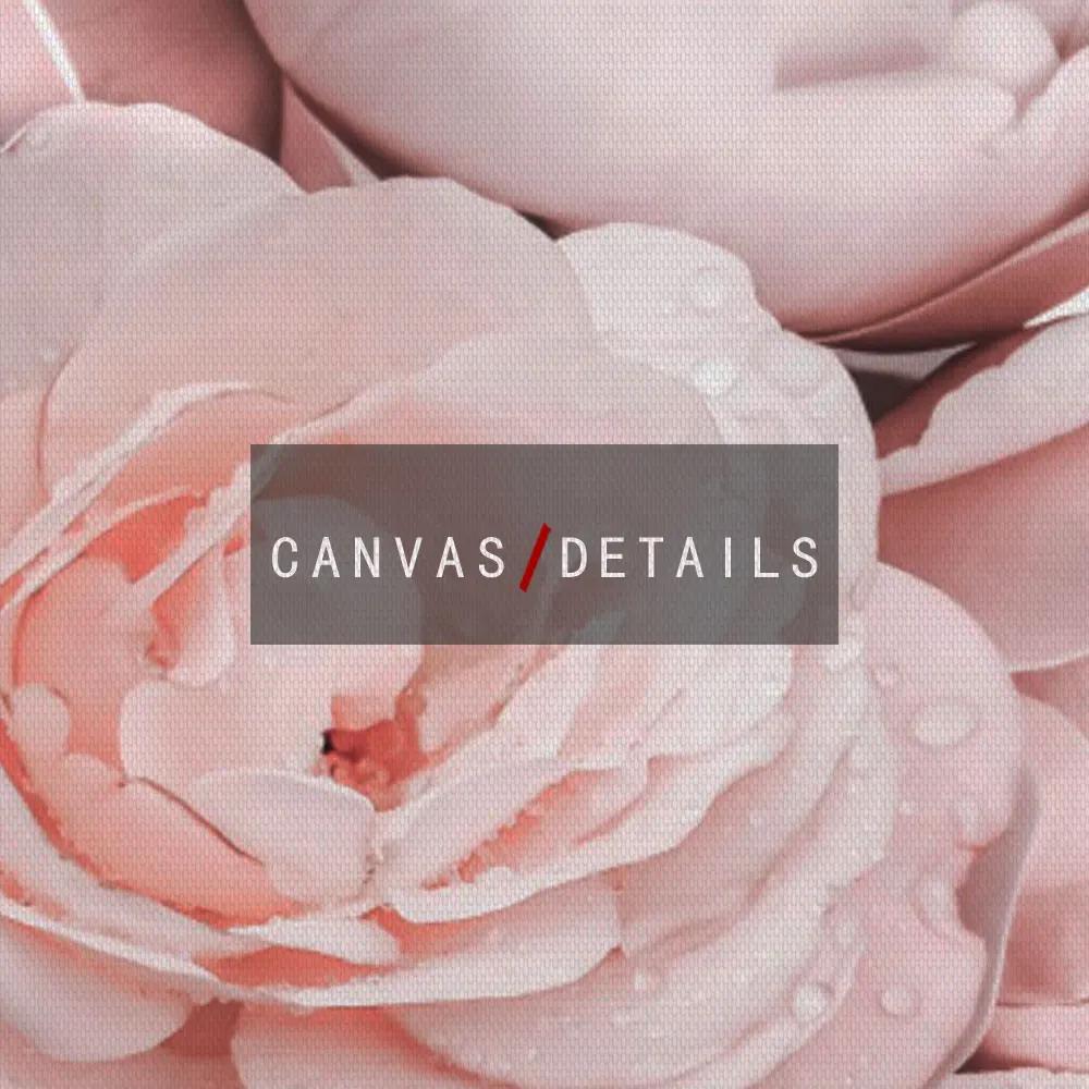 Canvas-Painting-Nordic-Decor-Pink-Blush-Peony-Flower-Perfume-Poster-And-Print-Wall-Art-Picture-For (3)