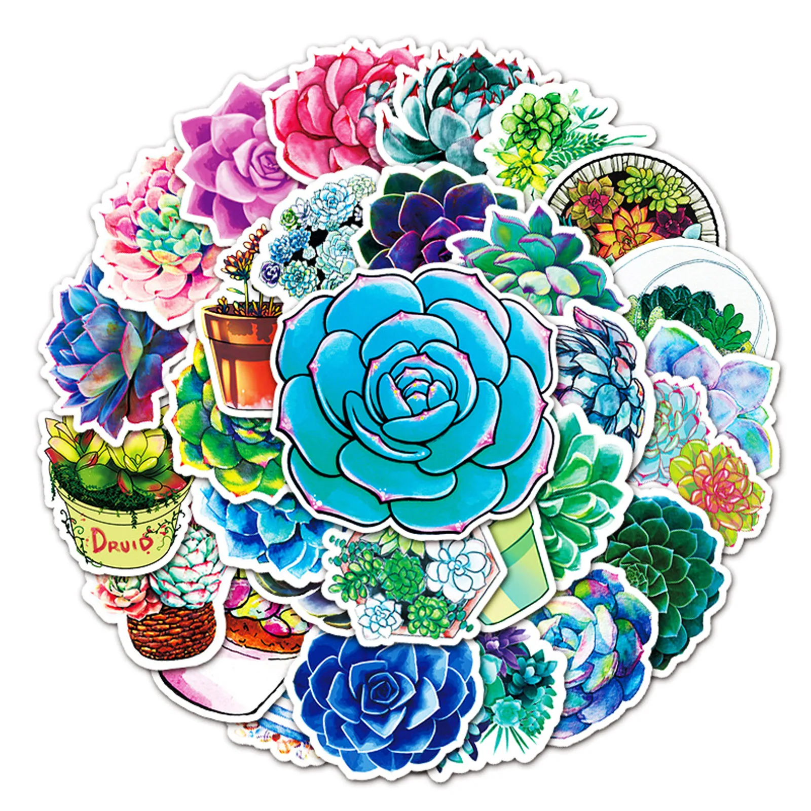 50PCS Mixed Pretty Succulent Plant Stickers PVC Sticker Aesthetic Guitar Laptop Phone Bike Waterproof Graffiti Decal Toy | Дом и сад
