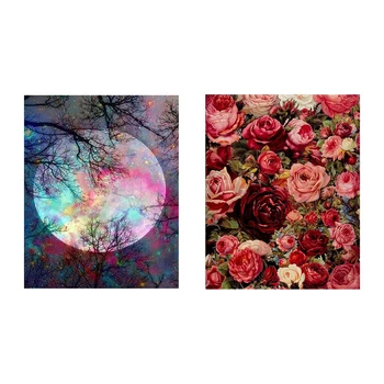 

2 Set Paint By Numbers DIY Acrylic Painting Kit for Kids and Adults 40X45cm with 3 Brushes Moon Night & Rose Flower