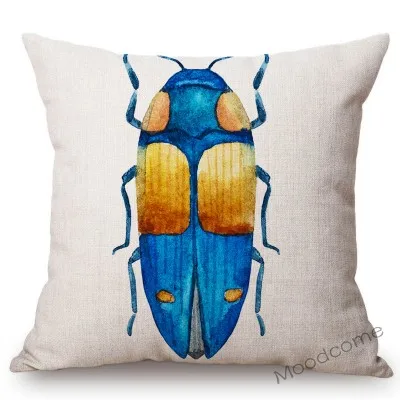 conew_n311 (9) 副本