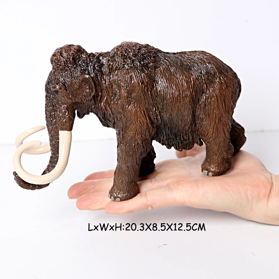 PL127-557-5
