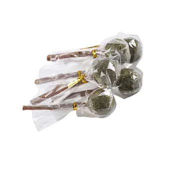 

5pcs in 1 Pack Dental Bite Toys Funny Healthy Lollipop Stick for Rabbits