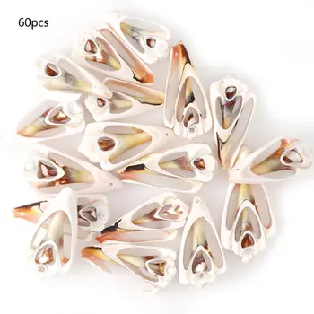 

60Pcs Natural Cowrie Shell Natural Spiral Shells Slices Smooth Cut Beach Seashells Beads With Holes Jewelry Making
