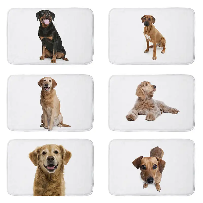 cheap Bulldog dog cats printed Flannel Floor Mat Anti Slip Tapete Floor Mats Kitchen Doormat welcome mats for front door