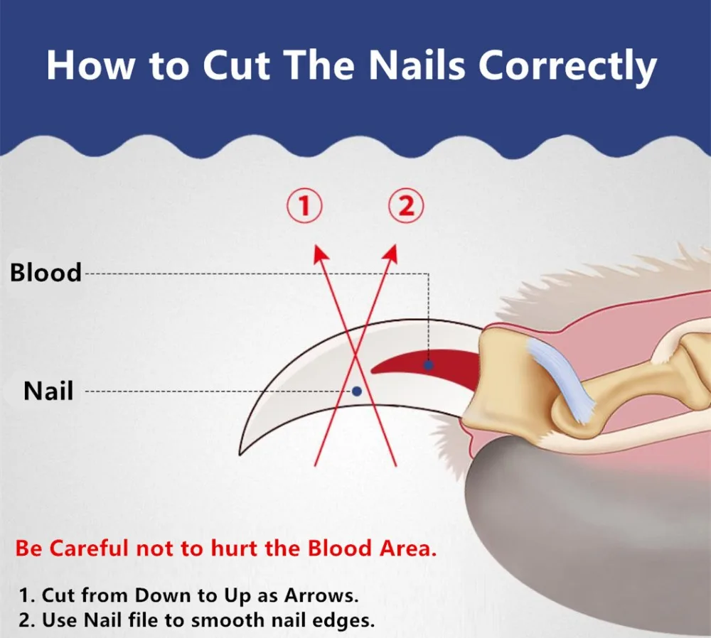 3. 细节&详情 (2)