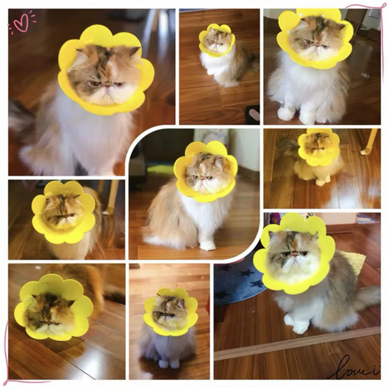 Cats Products For Pets Sun Slower EVA Sponge Light Cat Collar Cover Cat Products Neck Ring Anti-Licking Cat Collar Para Gatos Cats Products For Pets Sun Slower EVA Sponge Light Cat Collar Cover Cat Products Neck Ring Anti-Licking Cat Collar Para Gatos