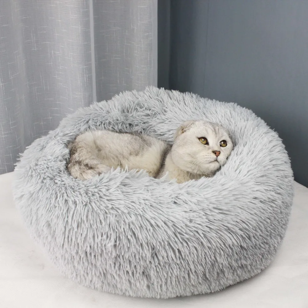 house for cat