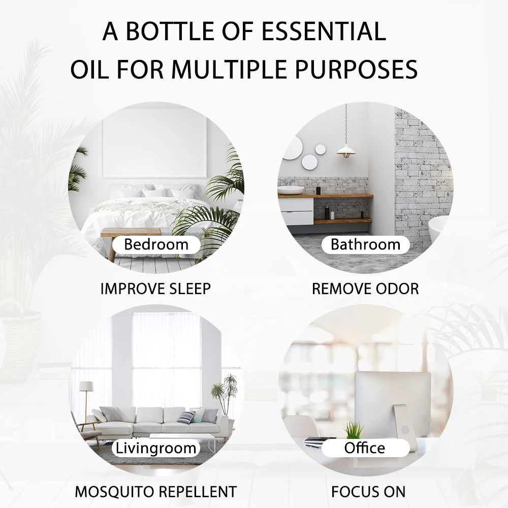ٴҶ Ʒθ  , õ 󺥴  Į ī ⸮  ڽ Ʈ , 100ML, 200ML, 300ML