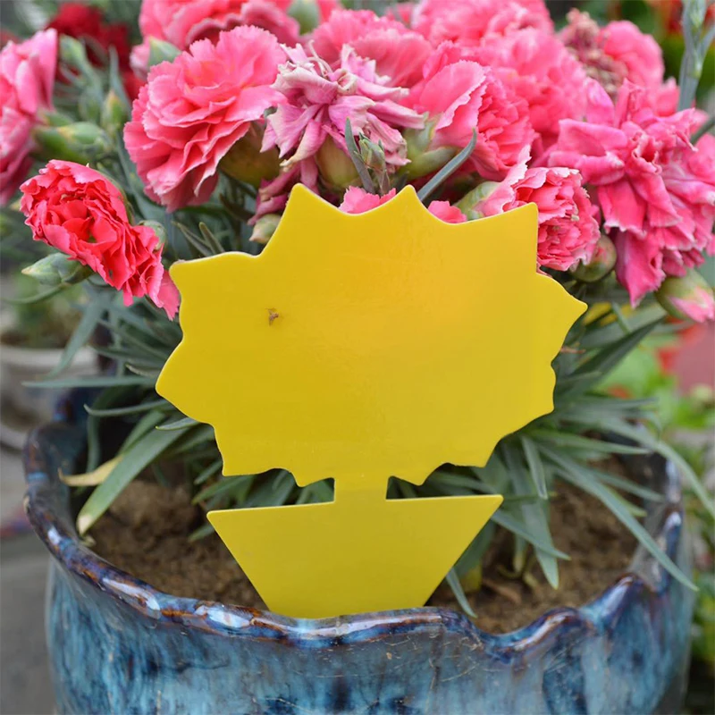 10pcs Sticky Fly Board Butterfly Flower Shape Plant Pot Decor Fruit Flies Bugs Traps Strong Catching Insect Garden Pest Control | Дом и сад