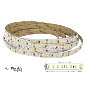 

LEDLUX BL2412F 24V coil Led 12 W/M 165LM/W 2000LM/M 3 Step cold white 6000K does not heat 800 Smd 2835 5 meters IP20