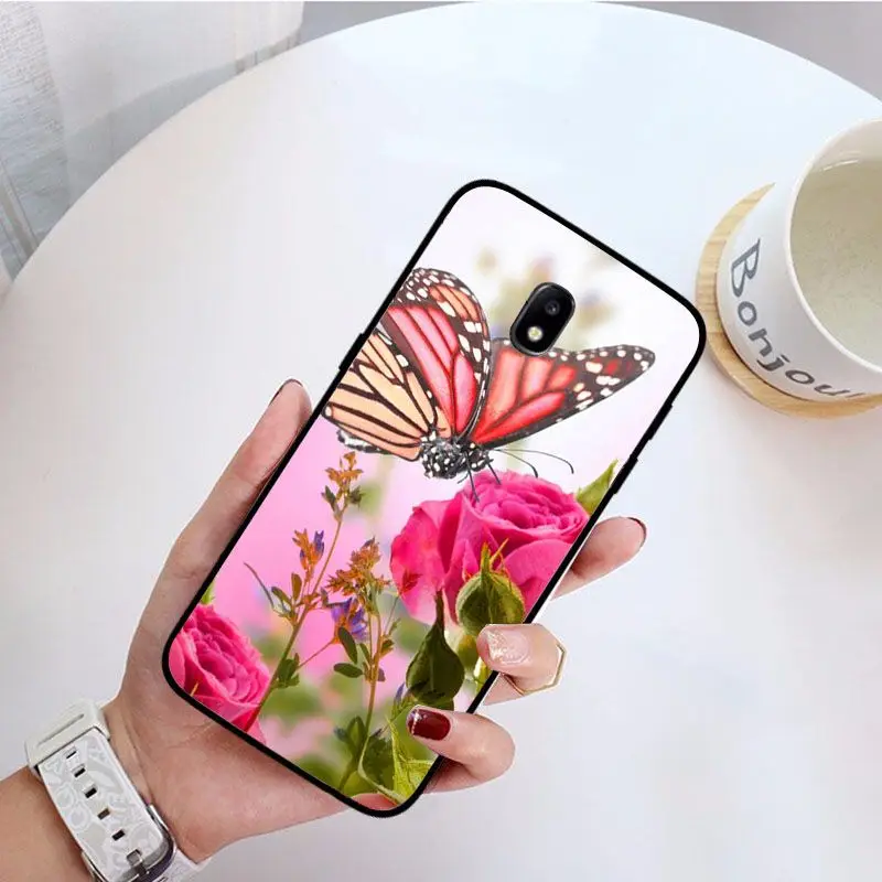 Red butterfly on white roses flower