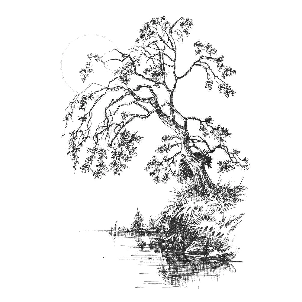 

AZSG Riverside / Tree Clear Stamps For DIY Scrapbooking Decorative Card Making Crafts Fun Decoration Supplies 10*15cm