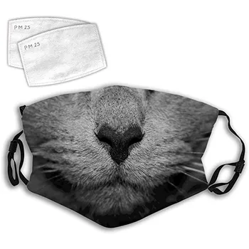

Unisex Face Mask Cat Printed Fashion Washable and Reusable Face Mask With 2 PCS Filters Mouth Cover Mascarar Mascarillas