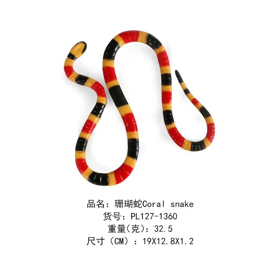 珊瑚蛇Coral snake-1360