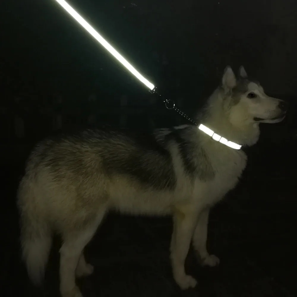 Martingal Dog Collar with Welded Link Chain Pet Nylon Slip Pinch Collar Dog Training Accessories Adjustable Collar for Large Dog