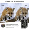 Suntekcam 2G Celluar MMS SMTP SMS Wildlife Trail hunting Cam Photo Traps  20MP 1080P Night  Vision Infrared  Wireless Cam HC801M ► Photo 2/6