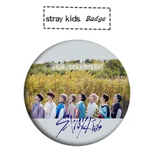 Модные нагрудные булавки для сумок, шляп, одежды, левантер, круглые значки Kpop Bangchan Felix, броши