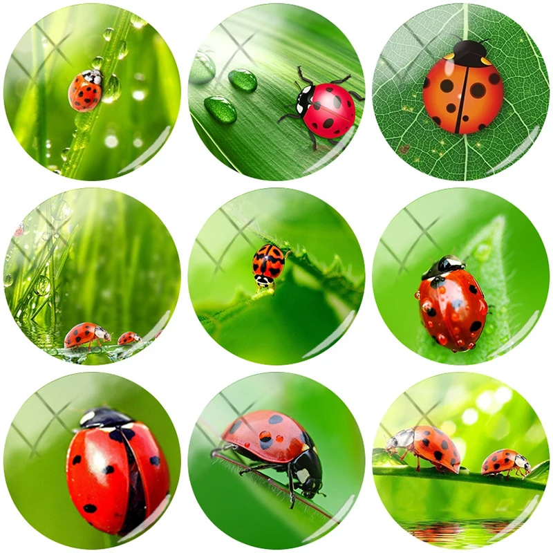 TAFREE Ladybugs Flowers Green Leaf Pattern 12/15//16/18//20//25 mm Glass Cabochon Dome Flat Back DIY Jewelry Making NT150 | Украшения и