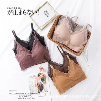 

Autumn and Winter Lace Camisole Cotton Thread Bear Vest GIRL'S Seamless Sports Underwear with Chest Pad Base Wrap-around Beauty