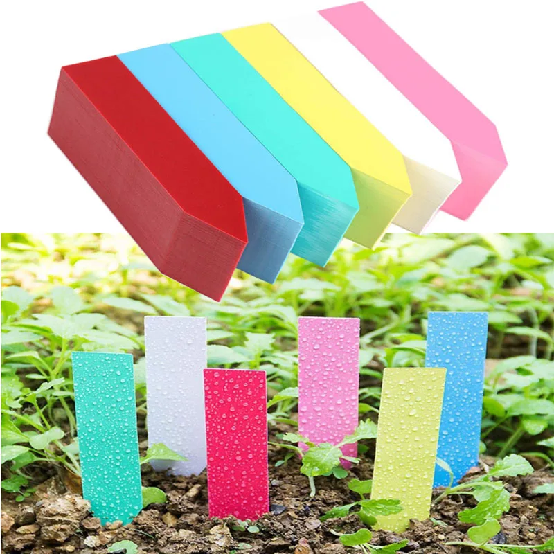 

100 PCS Reusable PVC Plants Hang Tag Labels Tree Fruits Seedling Garden Flower Pot Plastic Tags Sign Classification Tools