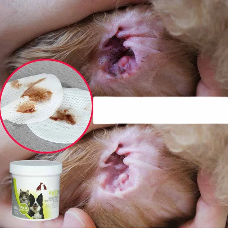 Aapet 50 шт./компл. одноразовая щетка для чистки зубов кошек и котят перчатки